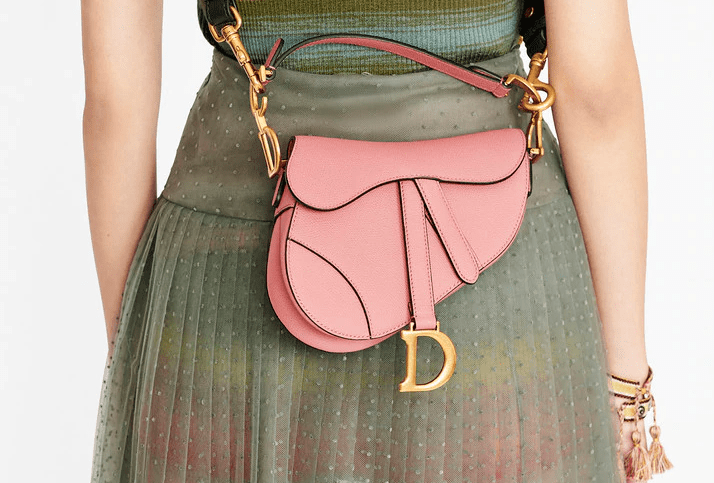 Dior Saddle Bag