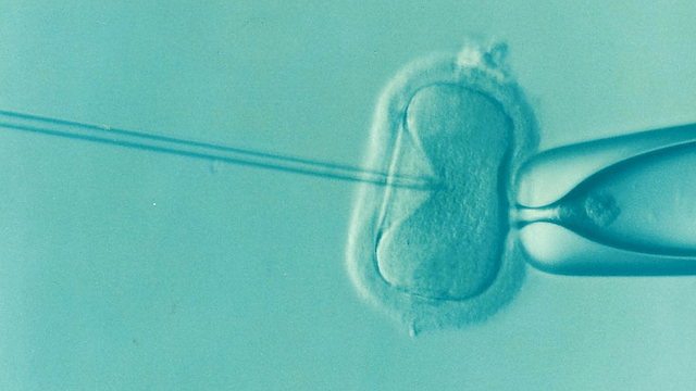 Psycholožka na IVF klinice popisuje, co řeší neplodné páry