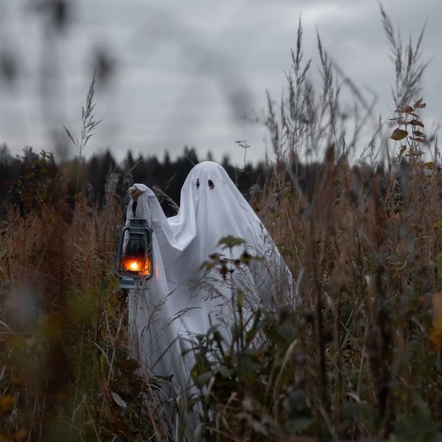 Jednoduché halloweenské recepty